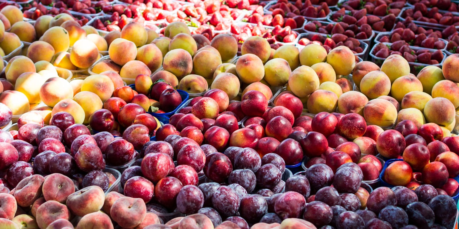 The numbers behind automatic fresh produce quality control