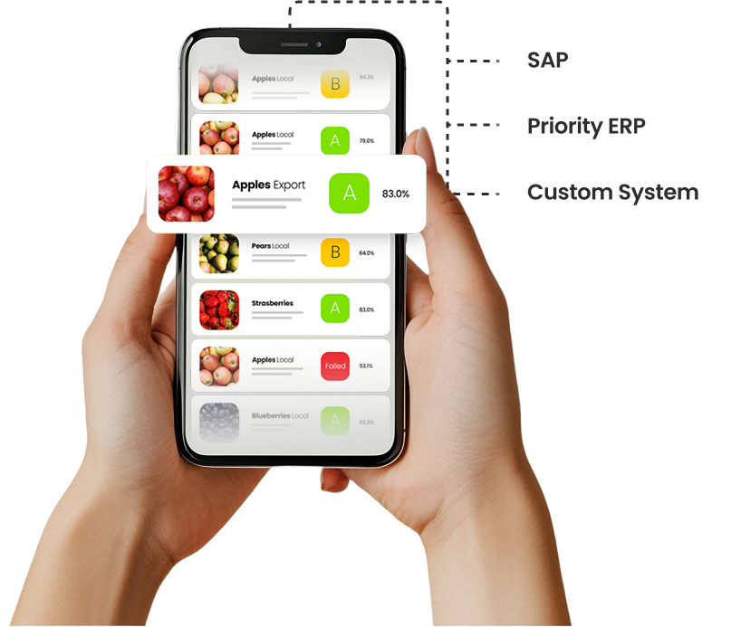 ERP Integrations