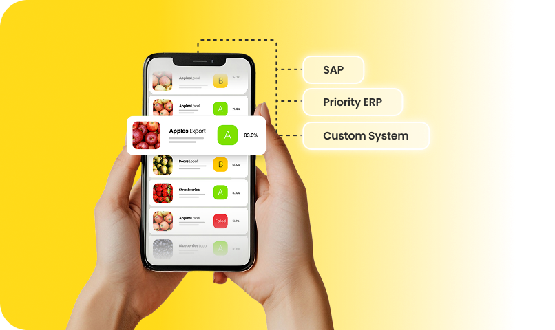 ERP Integrations