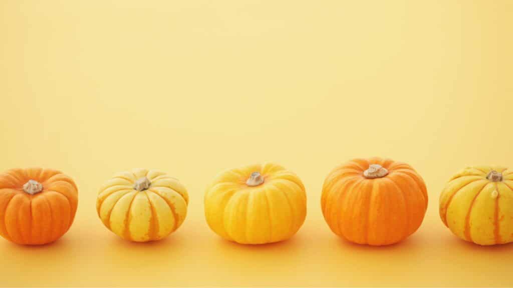 Pumpkin Harvest